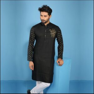 Stylish Premium Quality Panjabi 6